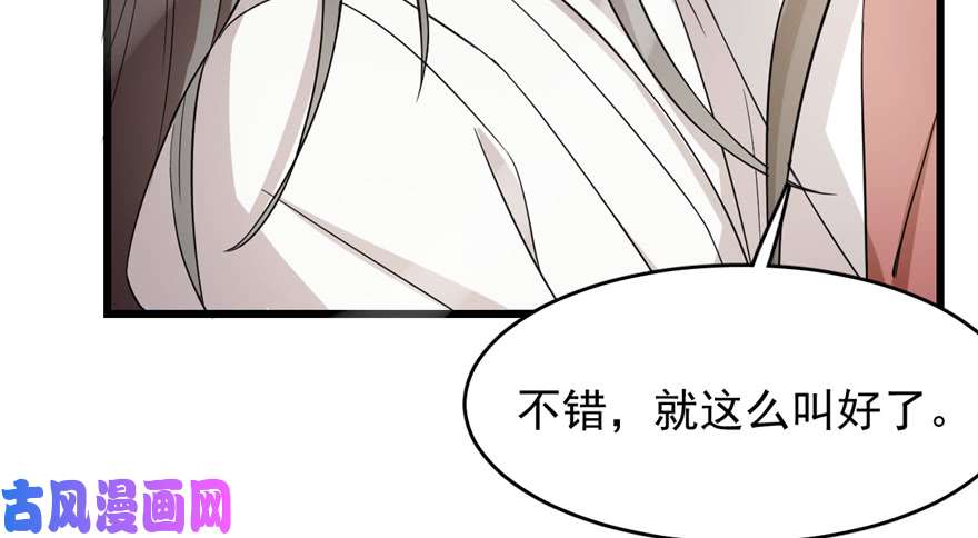 毒步天下：特工神医小兽妃60