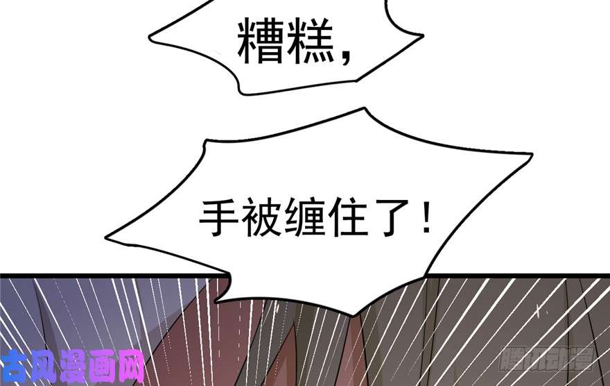 毒步天下：特工神医小兽妃61