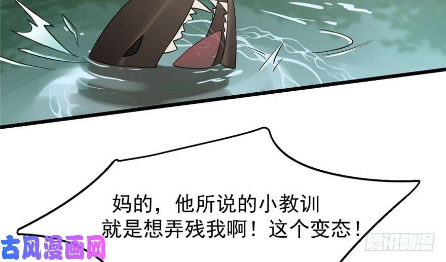 毒步天下：特工神医小兽妃61