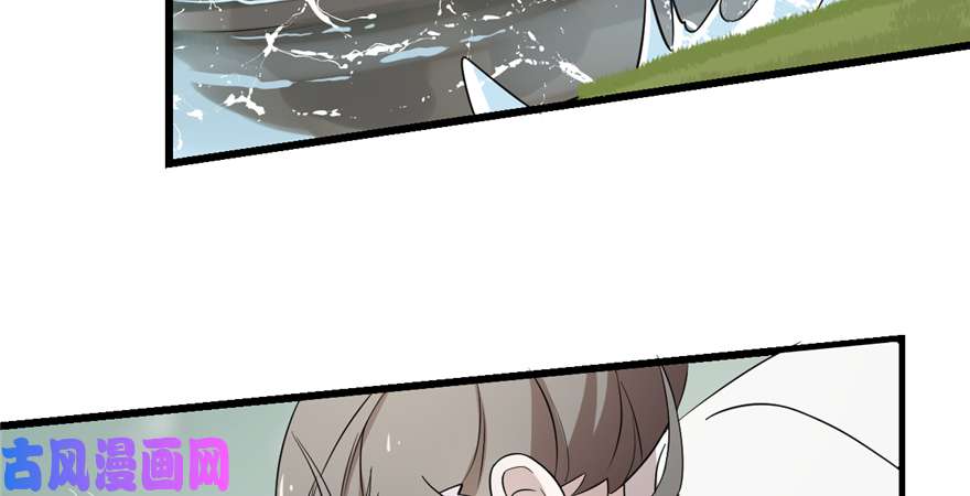 毒步天下：特工神医小兽妃61