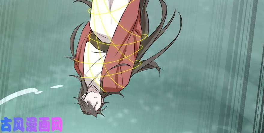 毒步天下：特工神医小兽妃61