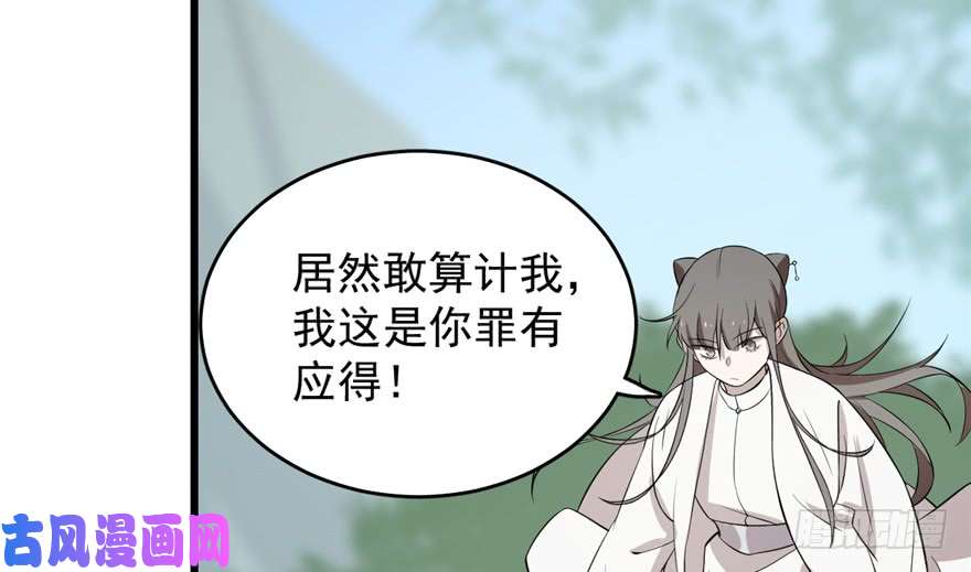 毒步天下：特工神医小兽妃61