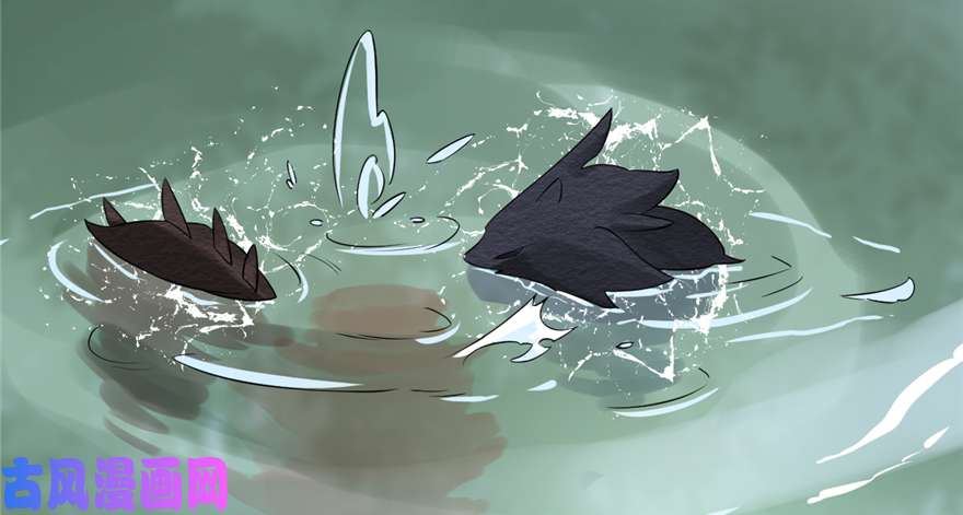 毒步天下：特工神医小兽妃61