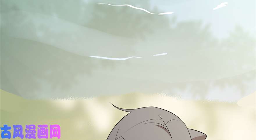 毒步天下：特工神医小兽妃61