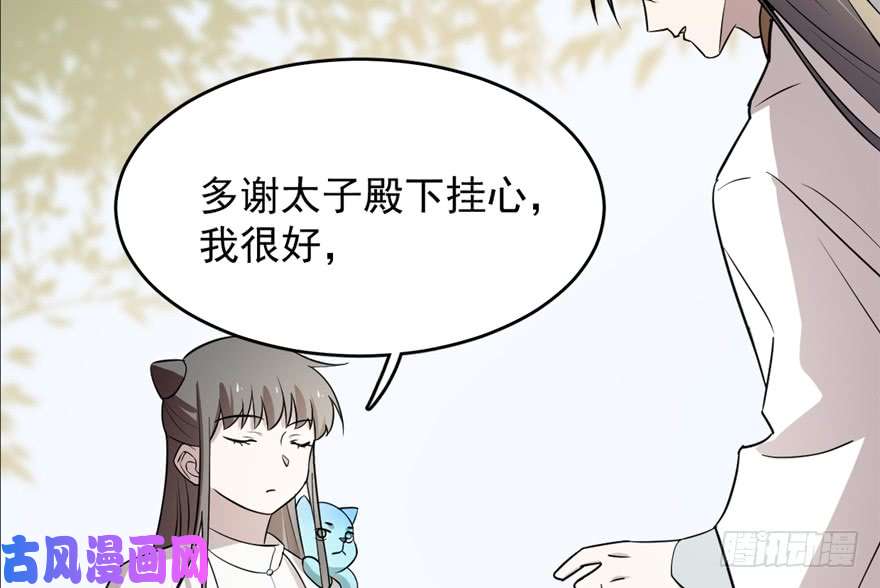 毒步天下：特工神医小兽妃62