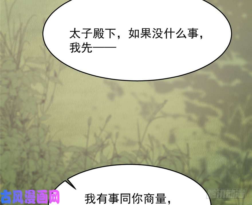 毒步天下：特工神医小兽妃62