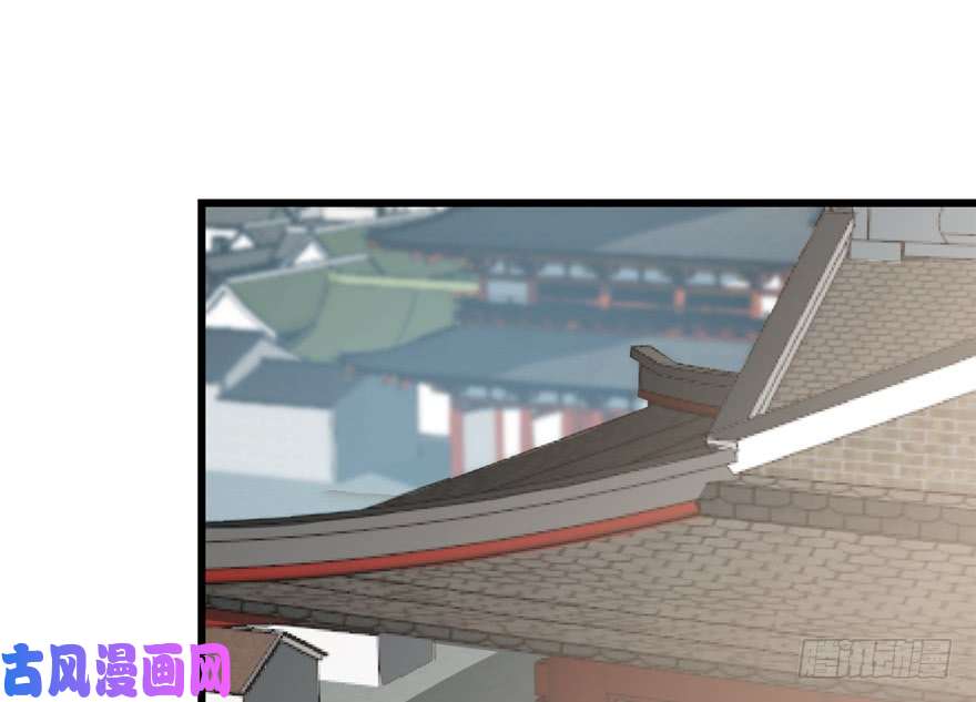 毒步天下：特工神医小兽妃62