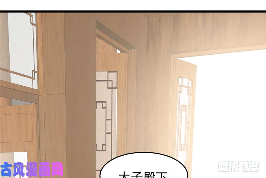 毒步天下：特工神医小兽妃62