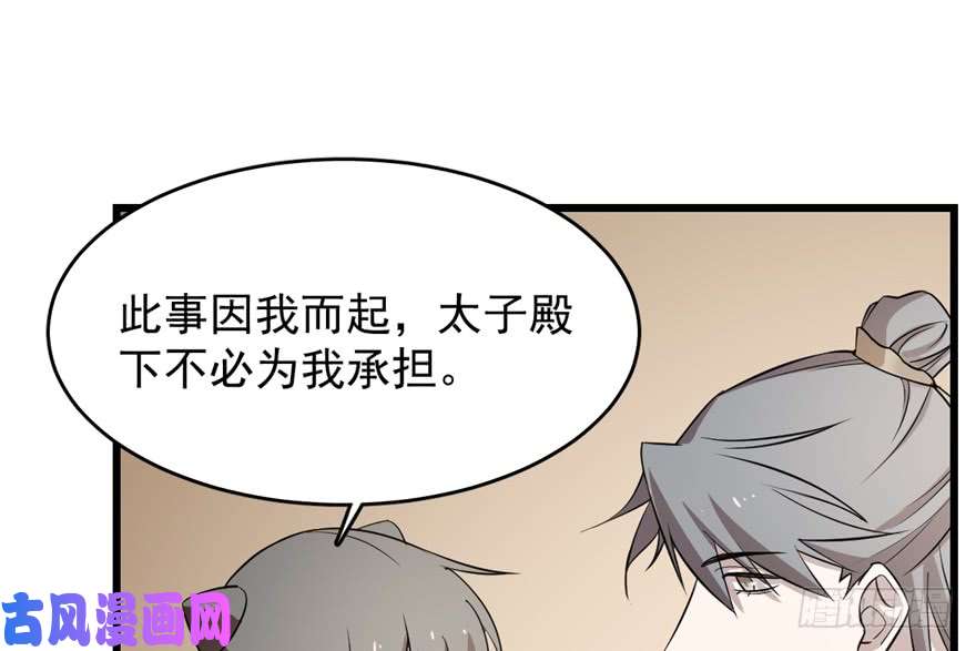 毒步天下：特工神医小兽妃62