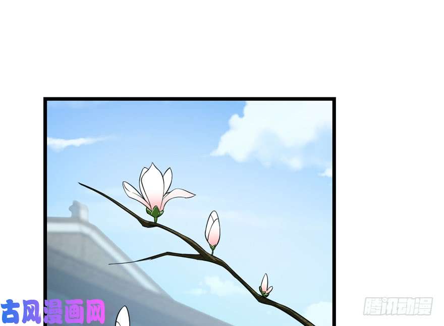 毒步天下：特工神医小兽妃63