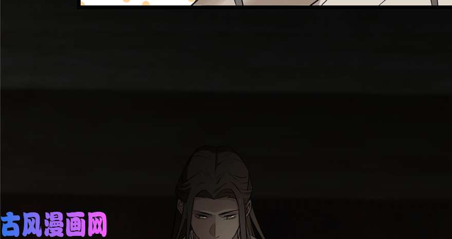 毒步天下：特工神医小兽妃63