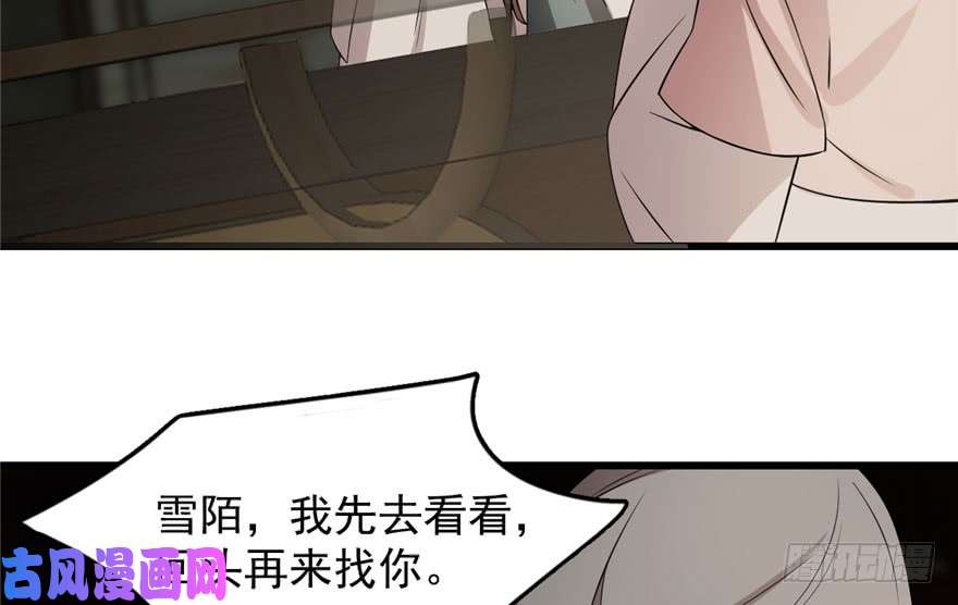 毒步天下：特工神医小兽妃64