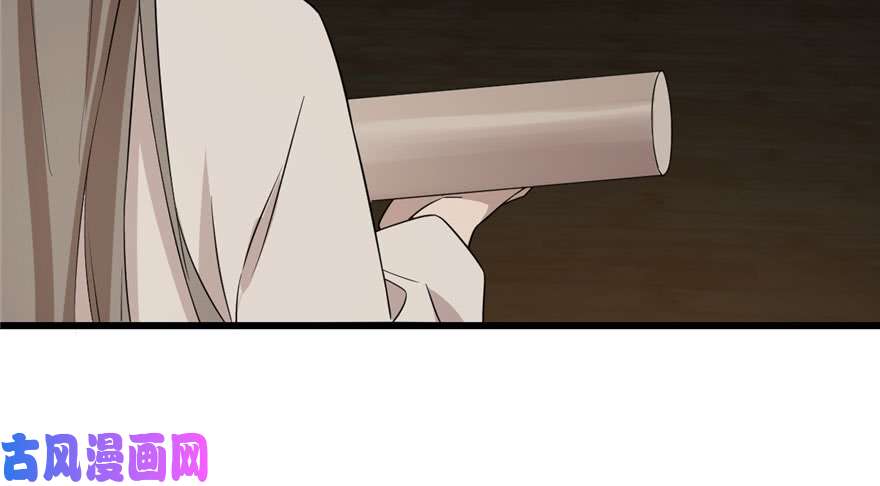 毒步天下：特工神医小兽妃64