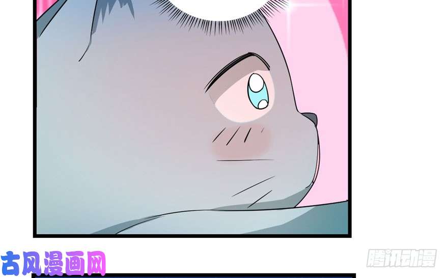 毒步天下：特工神医小兽妃64