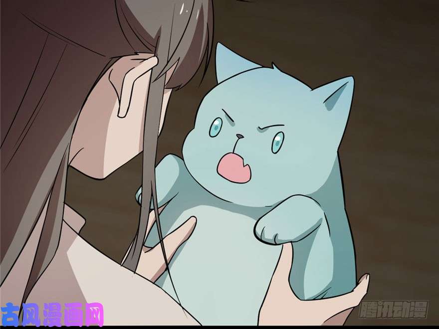 毒步天下：特工神医小兽妃64