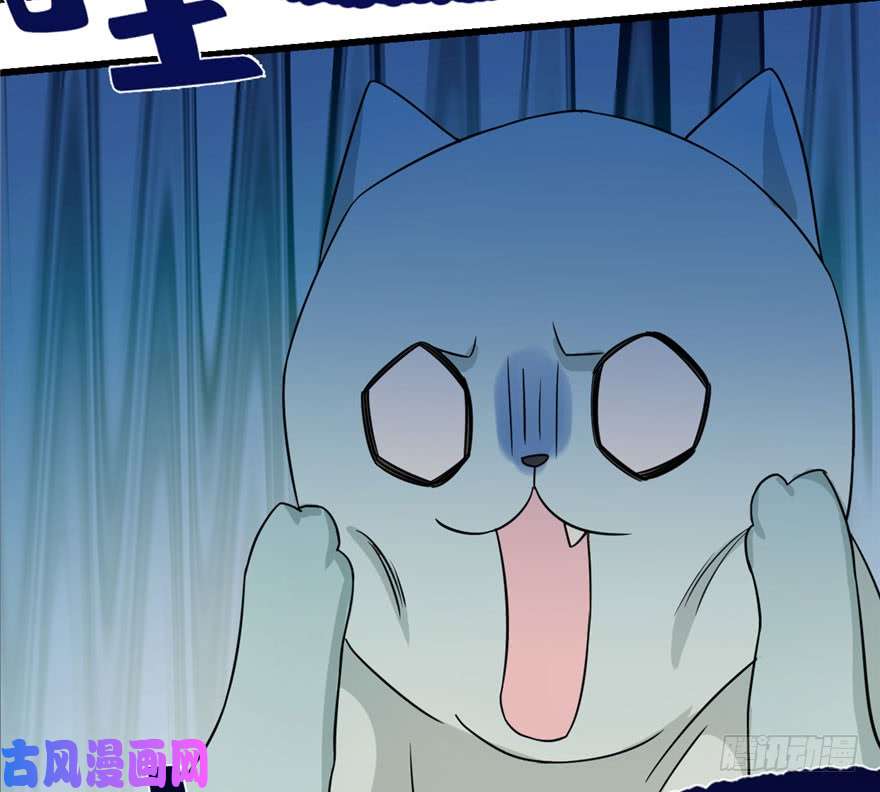 毒步天下：特工神医小兽妃64