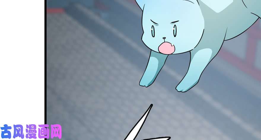 毒步天下：特工神医小兽妃64