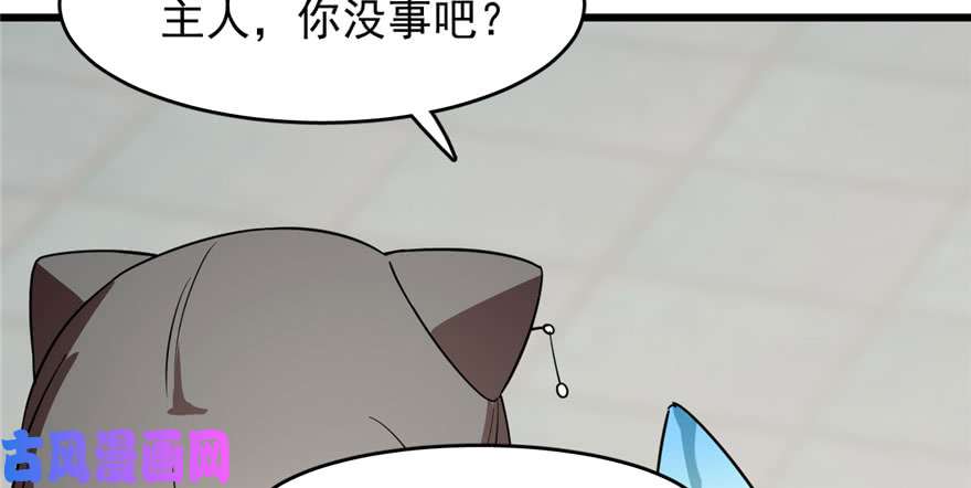 毒步天下：特工神医小兽妃64