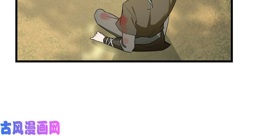 毒步天下：特工神医小兽妃65