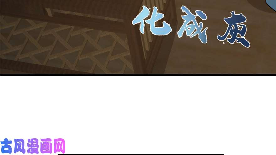 毒步天下：特工神医小兽妃65