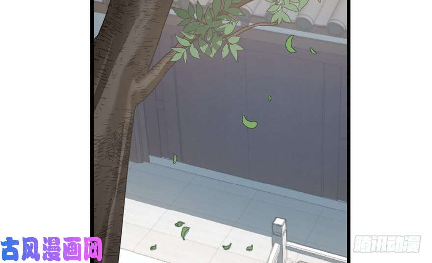 毒步天下：特工神医小兽妃65