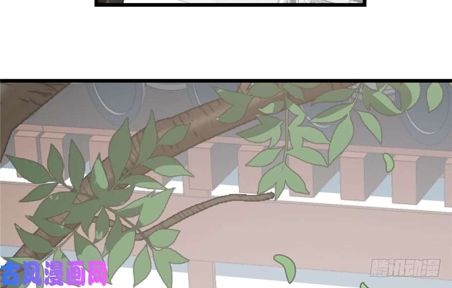 毒步天下：特工神医小兽妃65