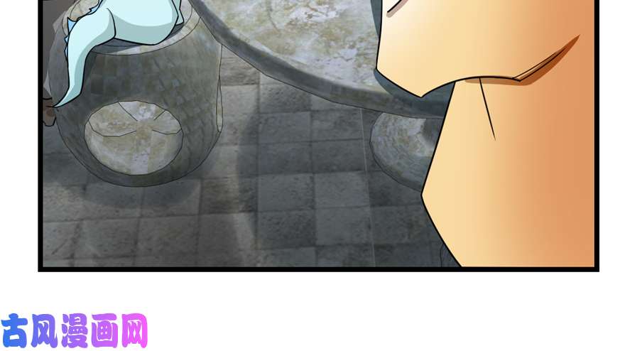 毒步天下：特工神医小兽妃65