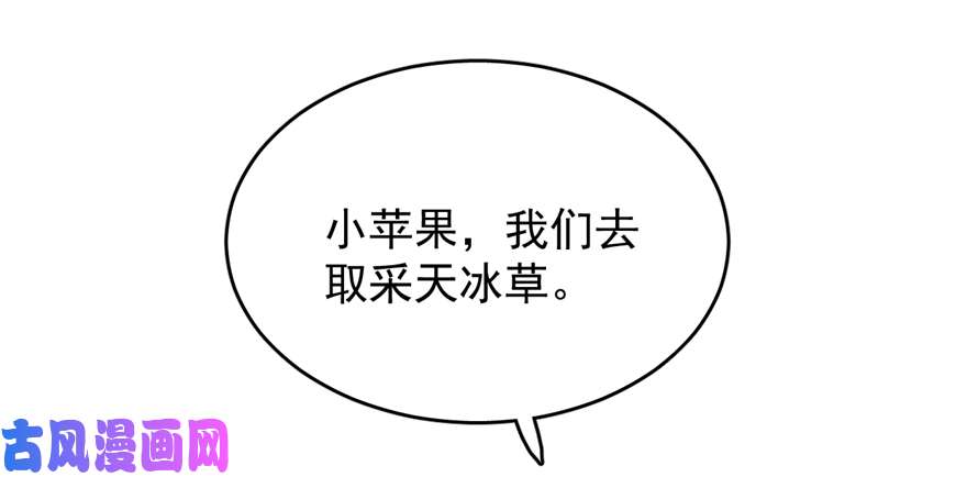 毒步天下：特工神医小兽妃65