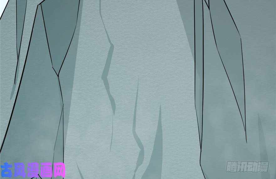 毒步天下：特工神医小兽妃65