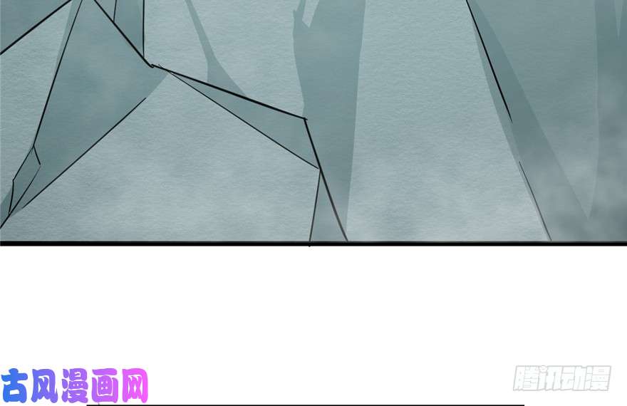 毒步天下：特工神医小兽妃65