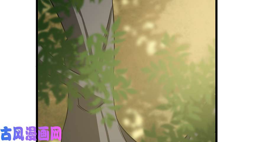 毒步天下：特工神医小兽妃65