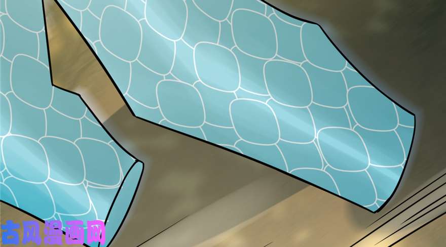 毒步天下：特工神医小兽妃65