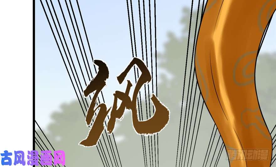 毒步天下：特工神医小兽妃65