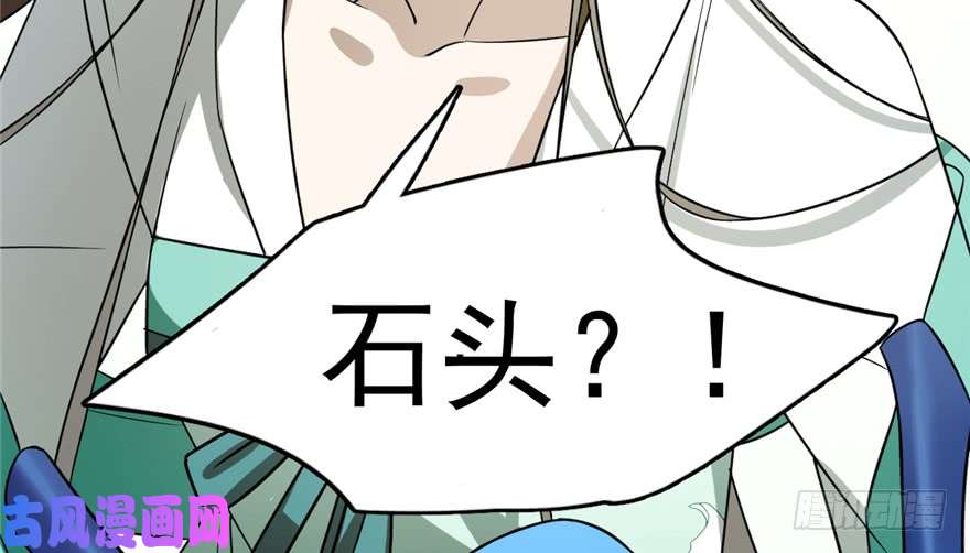 毒步天下：特工神医小兽妃65