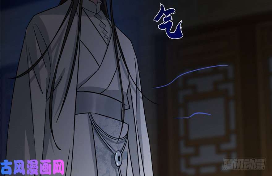 毒步天下：特工神医小兽妃65