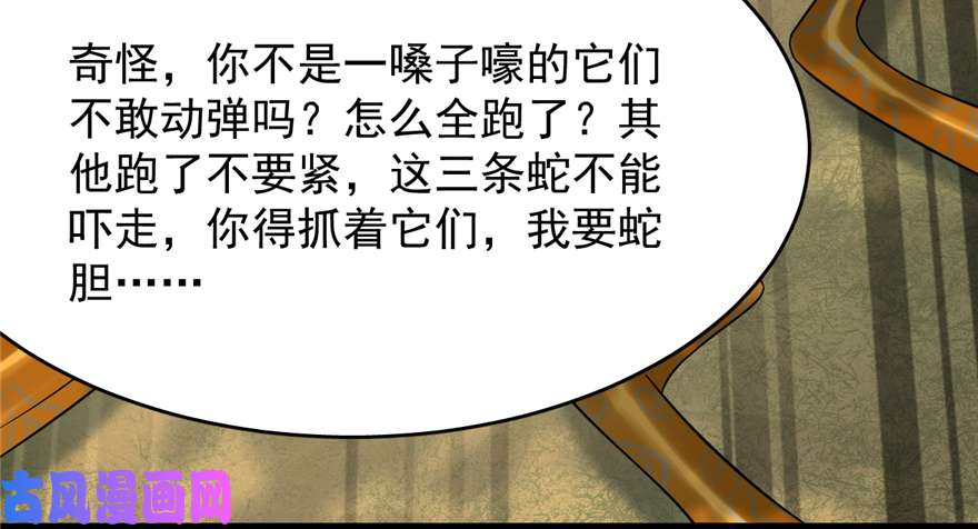 毒步天下：特工神医小兽妃65