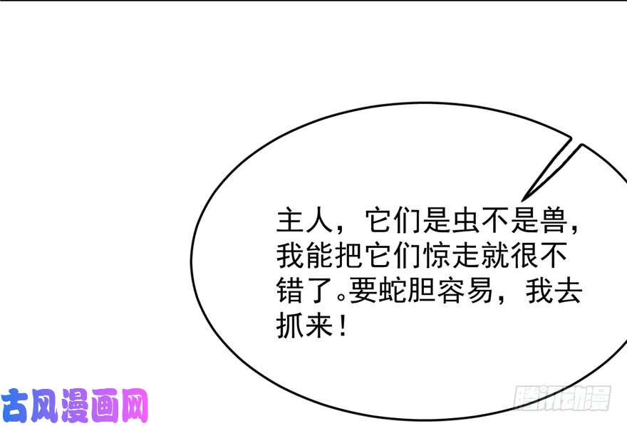 毒步天下：特工神医小兽妃65