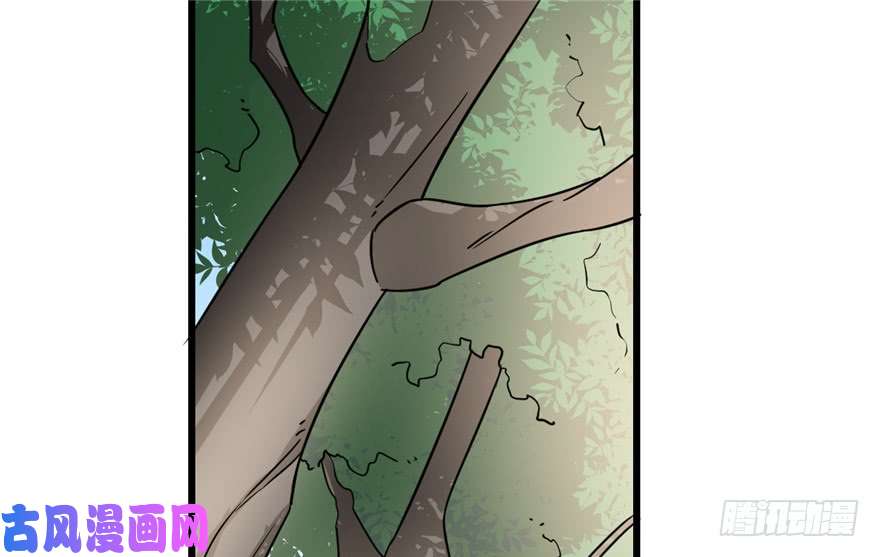 毒步天下：特工神医小兽妃66