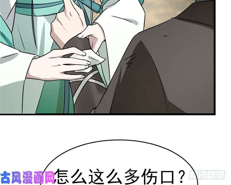 毒步天下：特工神医小兽妃66