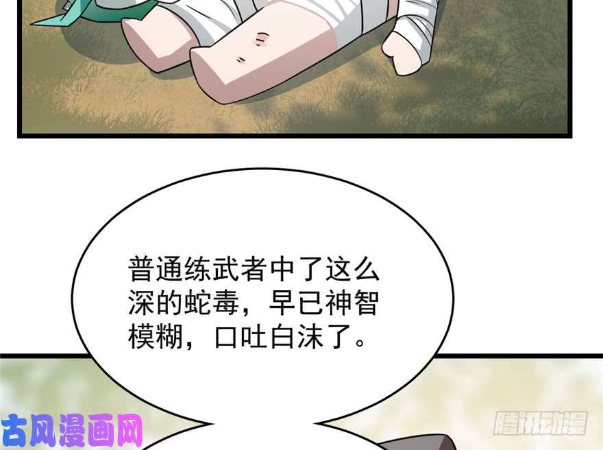 毒步天下：特工神医小兽妃66