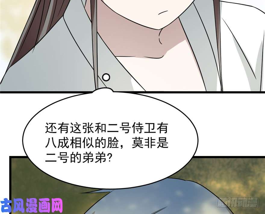 毒步天下：特工神医小兽妃66