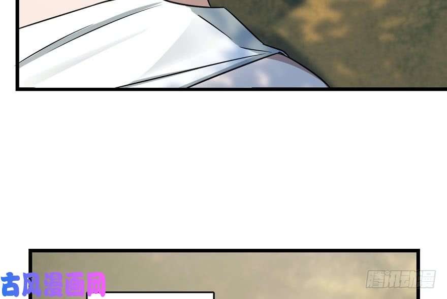 毒步天下：特工神医小兽妃66