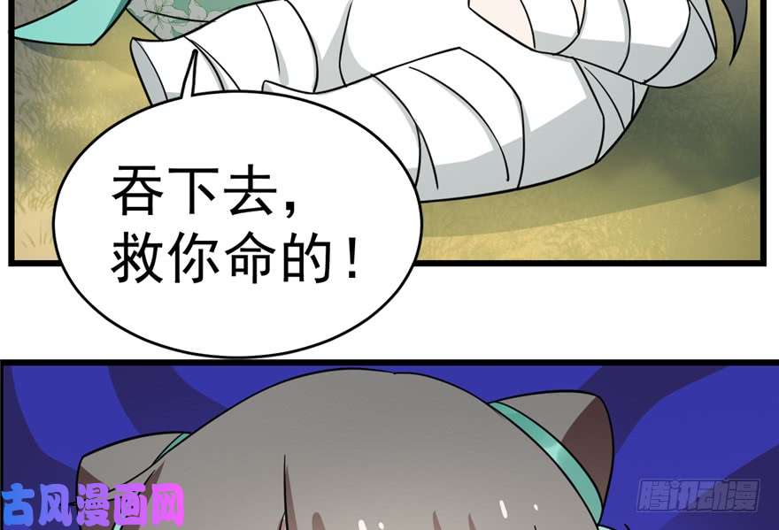 毒步天下：特工神医小兽妃66