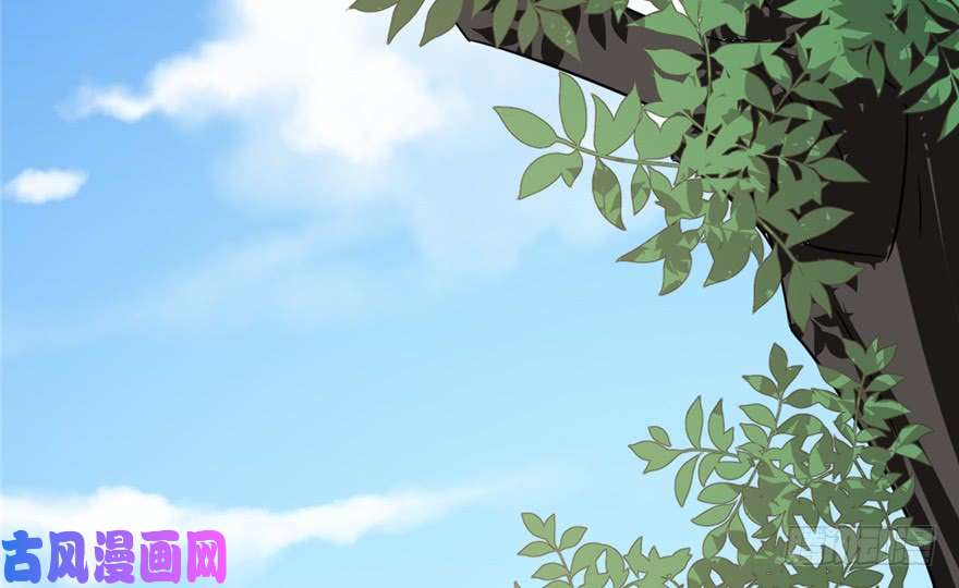 毒步天下：特工神医小兽妃66