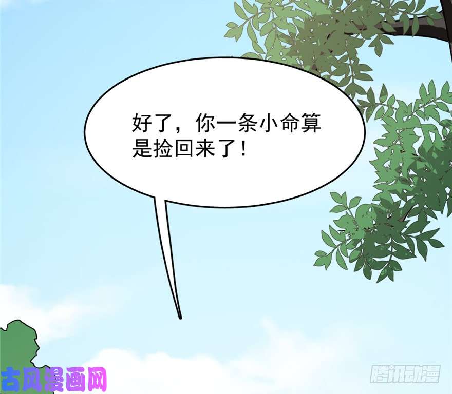 毒步天下：特工神医小兽妃66