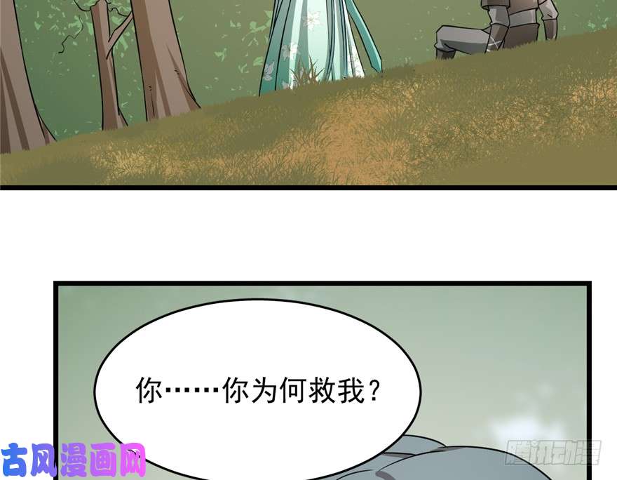 毒步天下：特工神医小兽妃66