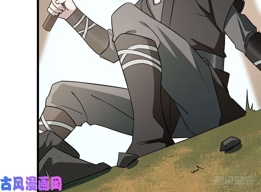 毒步天下：特工神医小兽妃66