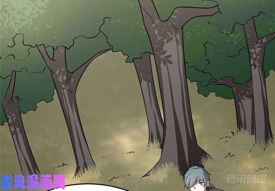 毒步天下：特工神医小兽妃66