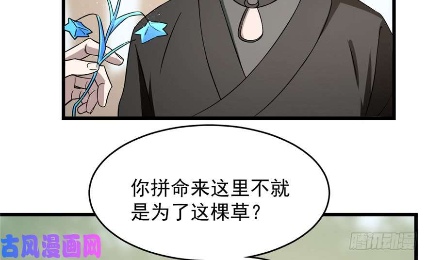 毒步天下：特工神医小兽妃66