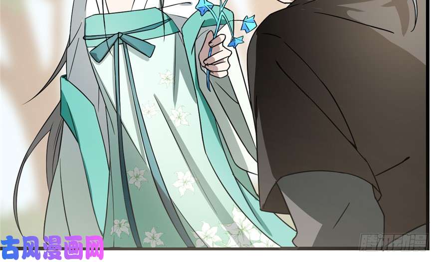 毒步天下：特工神医小兽妃66